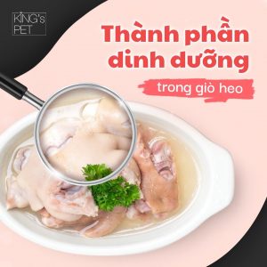 151301792 1238188329910134 2232959692285644101 o