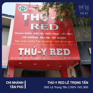 153622991 1242525442809756 4091018296710464021 n