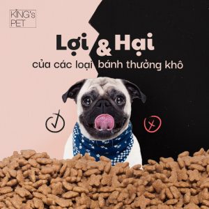 154974003 420360895893322 2911563090946060598 n