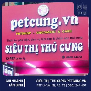 155817167 1243200592742241 7478232632258844865 n