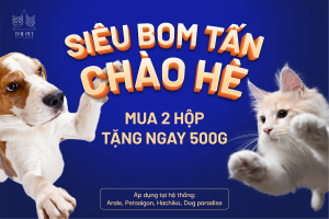 156866294 498653814853341 7531435262544039335 n