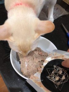 164505035 1256689881393312 5379574443110579472 n