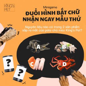 165450348 481848856503492 6793319733681880528 n