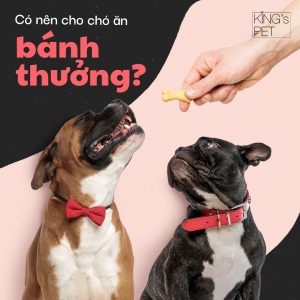 169071119 931380910942739 110663604688043495 n