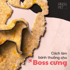 171087484 804475336825964 834633035708017968 n