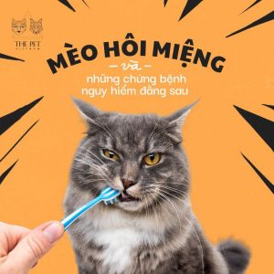 171653987 467712304466645 4414789680808504194 n