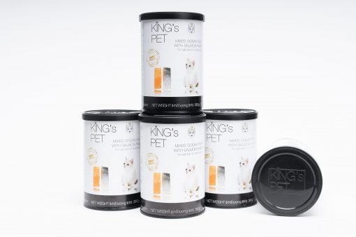 King'sPet0121-14 KingsPet0121 14 scaled