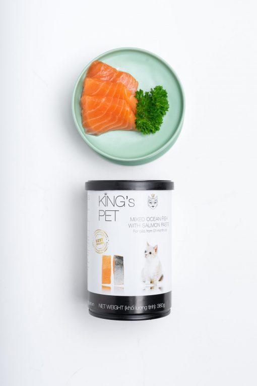 King'sPet0121-67 KingsPet0121 67 scaled