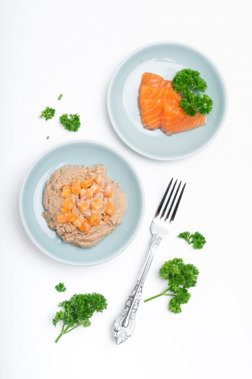 King'sPet0121-80 KingsPet0121 80 scaled