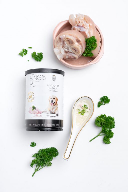 King'sPet0121-84 KingsPet0121 84 scaled