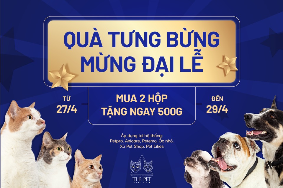 QUÀ TƯNG BỪNG - MỪNG ĐẠI LỄ 20 z2450107099891 953a73dff56852db992b19807acffd61