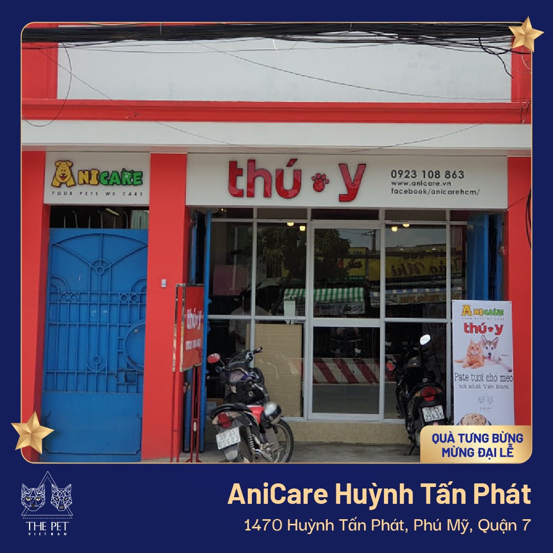 z2450107116877 7ac951bf8dc52b533e04219a4182d04b