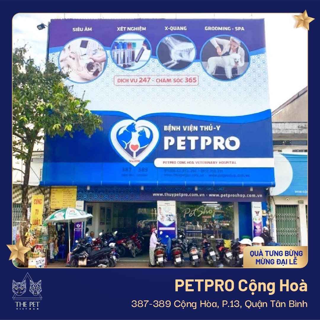 z2450107118350 ff354316ff354d8aa690eadef0afc61f