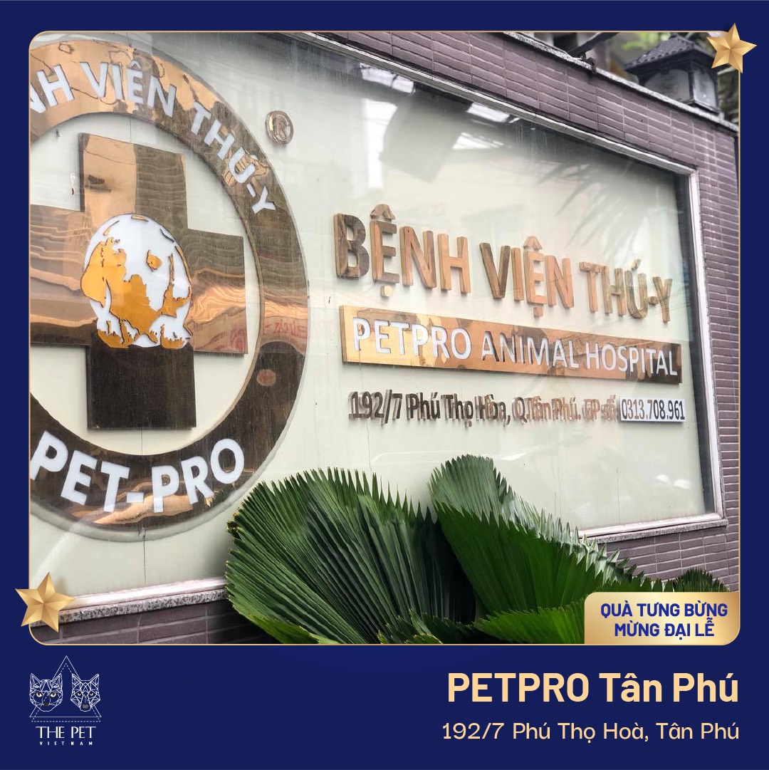 z2450107128105 37dae8a972b1d3215043b1e323716fd9