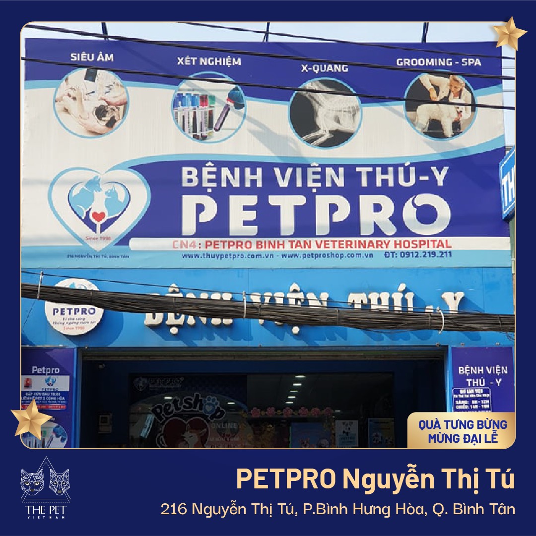 z2450107130390 73f20bca5907e25738c27f0a8042f56c