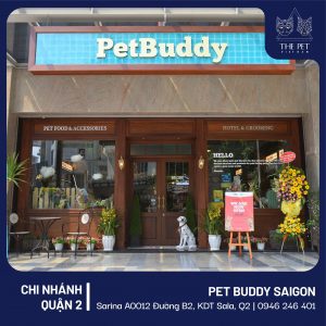 183337317 1284293778632922 7690998526704404673 n