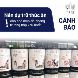 190949485 1298524530543180 3034157691105923132 n