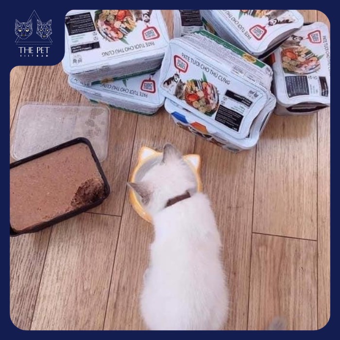 BẠN CẦN CHUẨN BỊ GÌ CHO THÚ CƯNG NẾU RƠI VÀO TRƯỜNG HỢP ĐI CÁCH LY 5 190986061 1298528367209463 5305894470814564492 n