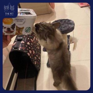 192349727 1298528277209472 162547630633208416 n