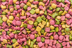 dog food