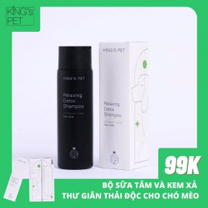 197083251 1309899832738983 4941725593555391289 n