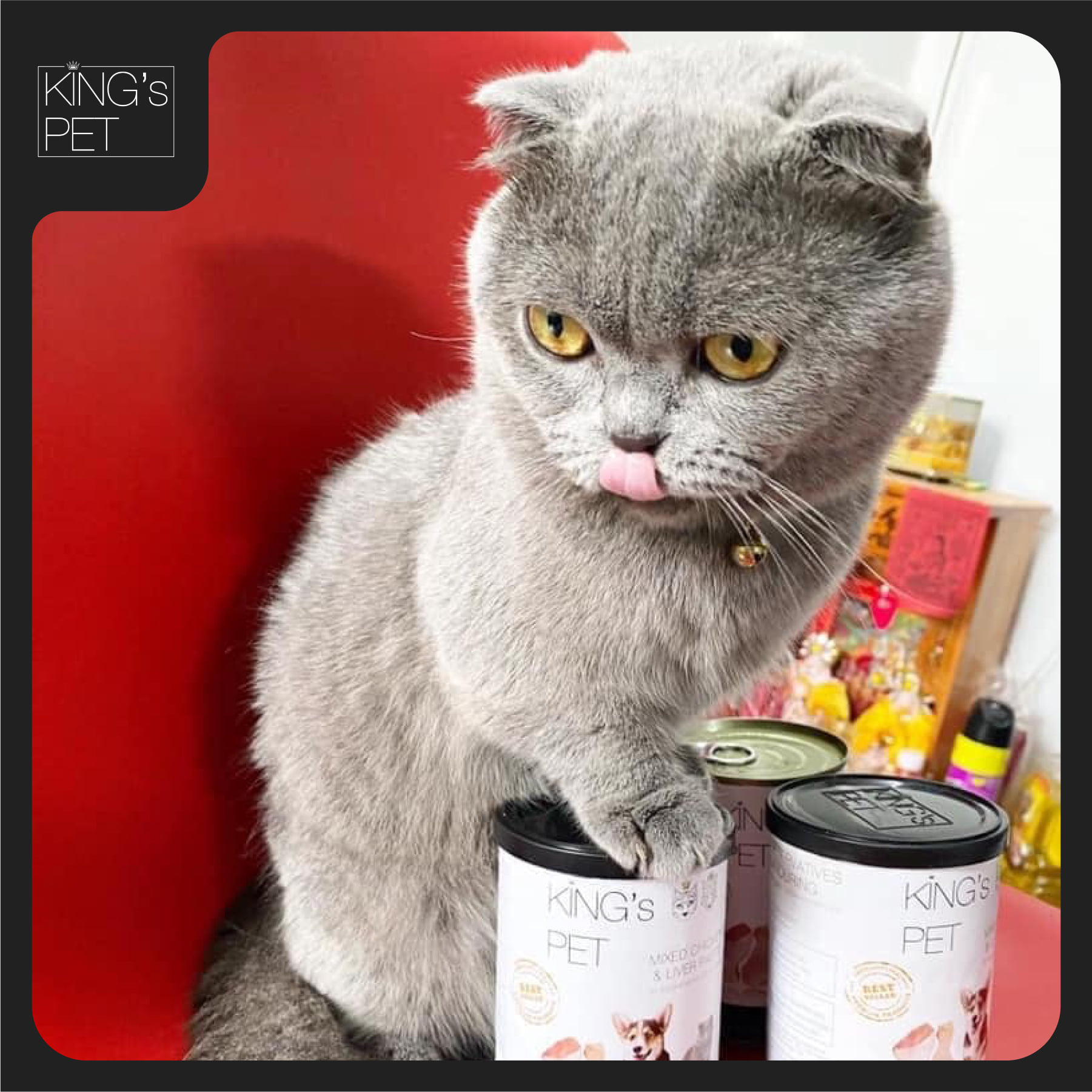 MỪNG SINH NHẬT ARALE PETSHOP 213D MINH PHỤNG TRÒN 3 TUỔI- ARALE SIÊU SALE CHẠM ĐÁY LÊN ĐẾN 30% 47 198464598 1309051262823840 810473953489667970 n