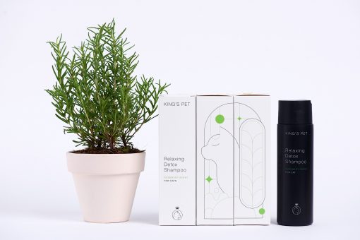 2562806deb171f49460630 2562806deb171f49460630