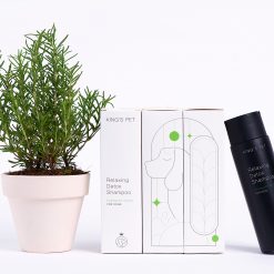 afbb30b45bceaf90f6df29