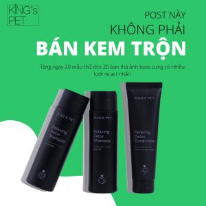 z2558109673283 c1407376094328d5224deddcb50a51c3