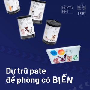 202765822 1322913104770989 7228541983365708878 n