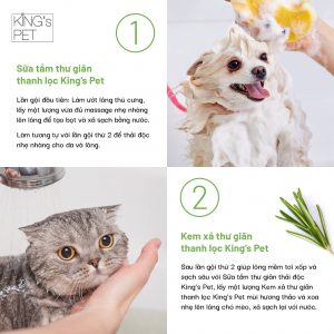 215632959 1327790864283213 7233690240604478178 n