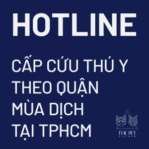 229166464 1341664412895858 8771887574901219727 n