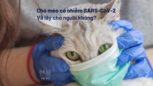 Copy of Cho meo co nhiem SARS CoV 2