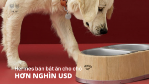 Copy of HON NGHIN USD 1