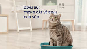 Copy of Meo giam bui