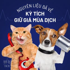 241144098 1365756803819952 2021888049403142942 n