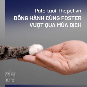 241693344 1367182637010702 2705381320894427256 n