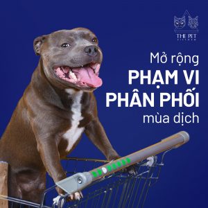 241831307 1517617828602211 2657800447768525211 n