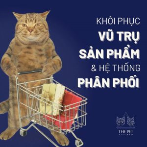 245082092 1388910238171275 6259721894215442965 n