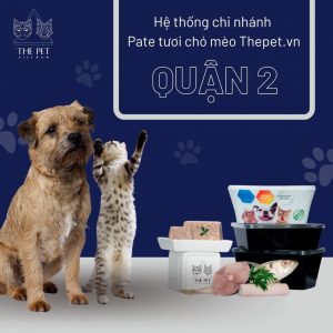 248030376 1397717480623884 7473351125553028966 n min