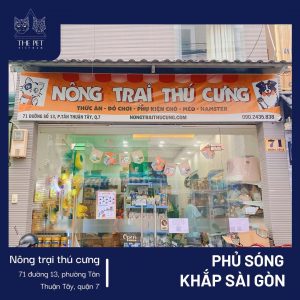 Thepet.vn phủ sóng khắp Sài Gòn thời kỳ bình thường mới 3 Thepet.vn phủ sóng khắp Sài Gòn thời kỳ bình thường mới