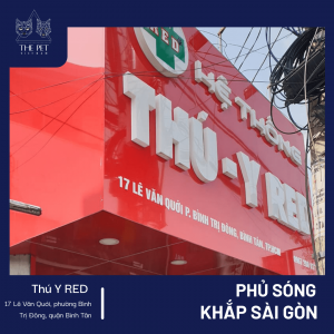 Thepet.vn phủ sóng khắp Sài Gòn thời kỳ bình thường mới 1 Thepet.vn phủ sóng khắp Sài Gòn thời kỳ bình thường mới