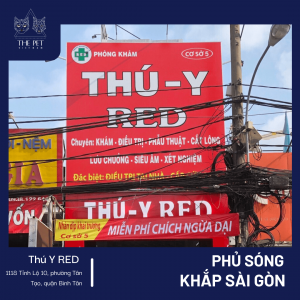 Thepet.vn phủ sóng khắp Sài Gòn thời kỳ bình thường mới 2 Thepet.vn phủ sóng khắp Sài Gòn thời kỳ bình thường mới