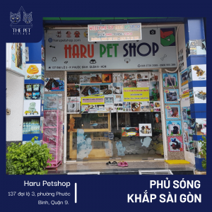 Thepet.vn phủ sóng khắp Sài Gòn thời kỳ bình thường mới 8 Thepet.vn phủ sóng khắp Sài Gòn thời kỳ bình thường mới