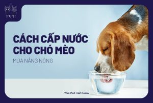 272103667 1452871925108439 1928781946680538724 n