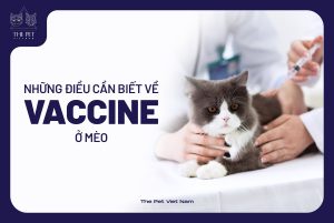 274731439 1477345039327794 3635844308460165571 n