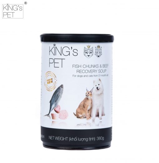 z4179245794015_8945fa84530b43cc0298d7280081a10a-scaled z4179245794015 8945fa84530b43cc0298d7280081a10a scaled 2