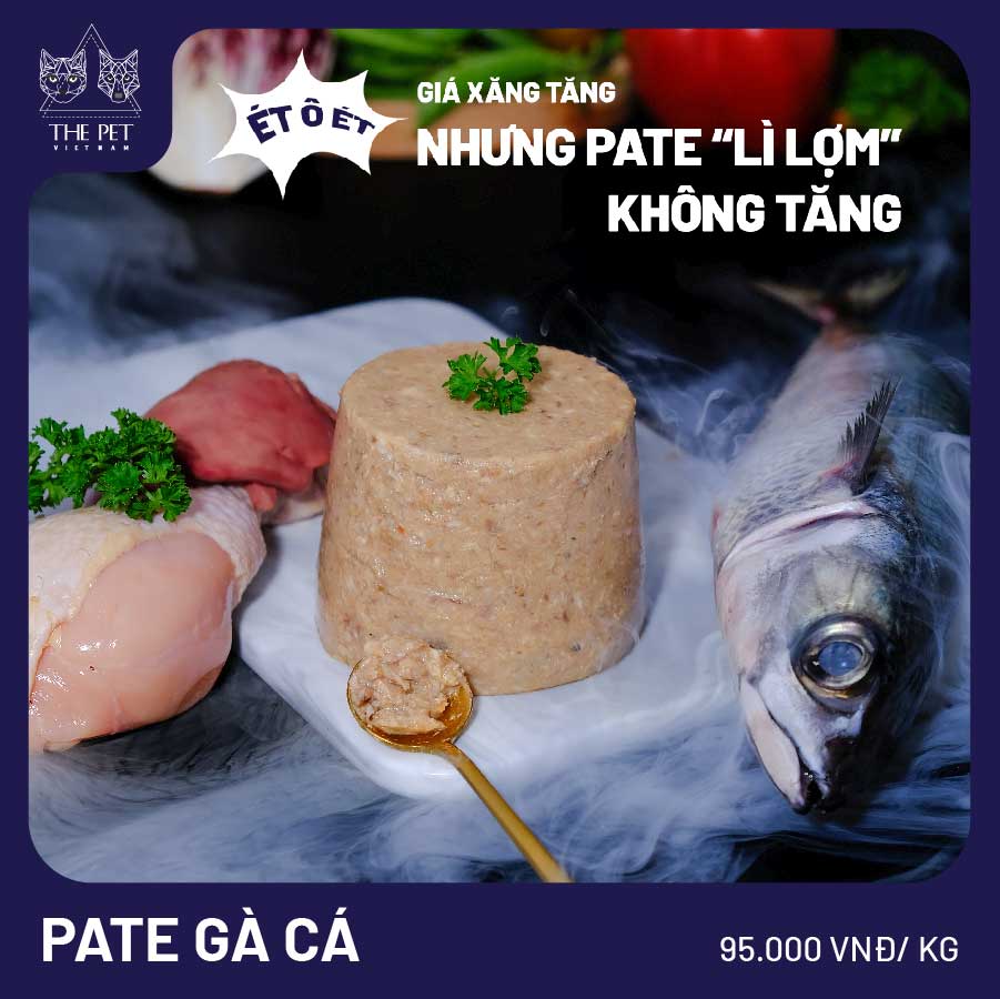 Điểm danh 03 cách làm pate cho chó mèo dễ làm nhất 5 Điểm danh 03 cách làm pate cho chó mèo dễ làm nhất