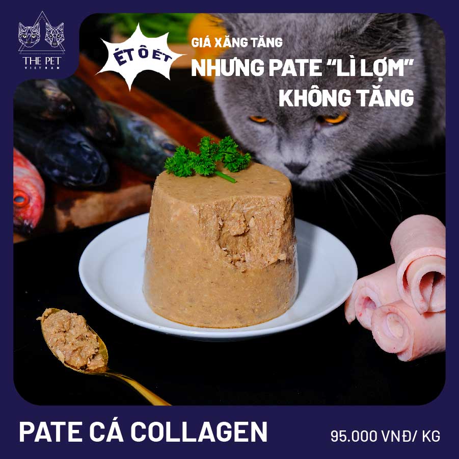 Điểm danh 03 cách làm pate cho chó mèo dễ làm nhất 6 Điểm danh 03 cách làm pate cho chó mèo dễ làm nhất