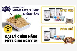 276057032 1491665857895712 2067259427872205930 n